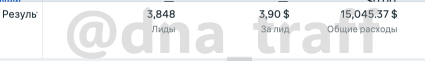 Ad account statistics: 3,848 leads at $3.90