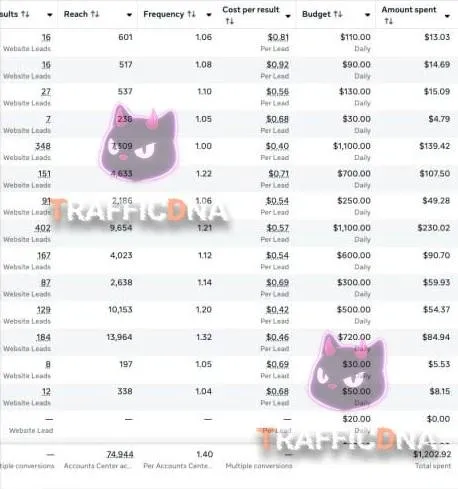 Results card: Why Not webcam studio recruiting — 1,000+ applications on a $1,000 budget
