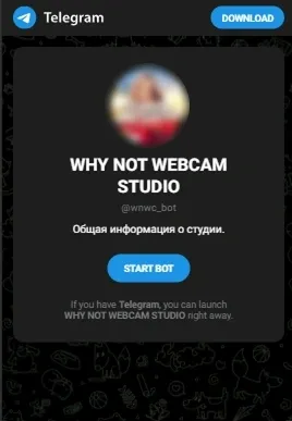 Telegram bot screen with studio information and a start button